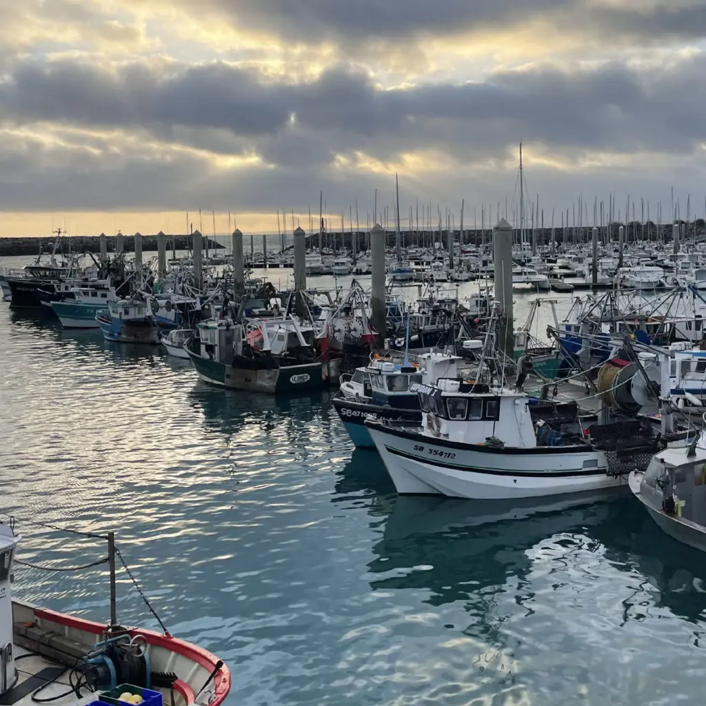Le port de Saint-Quay-Portrieux
