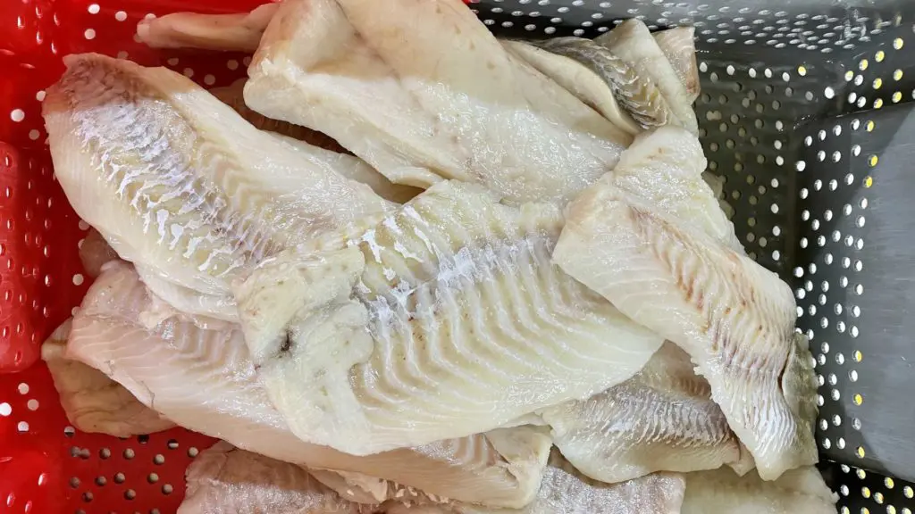 Filets de morue sélectionnés pour nos clients